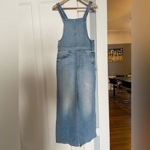 MOTHER overall/jumper